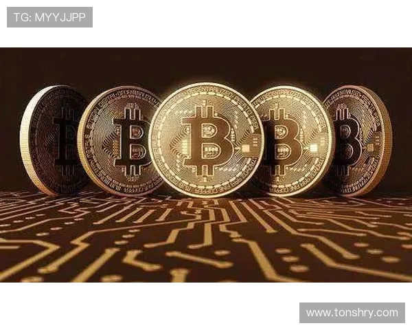 铁锤帮核心今夏身价或大幅飙升